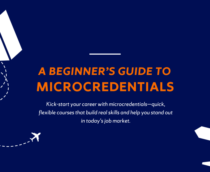 A Beginners Guide to Microcredentials