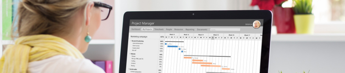 woman working on gantt chart on her laptop